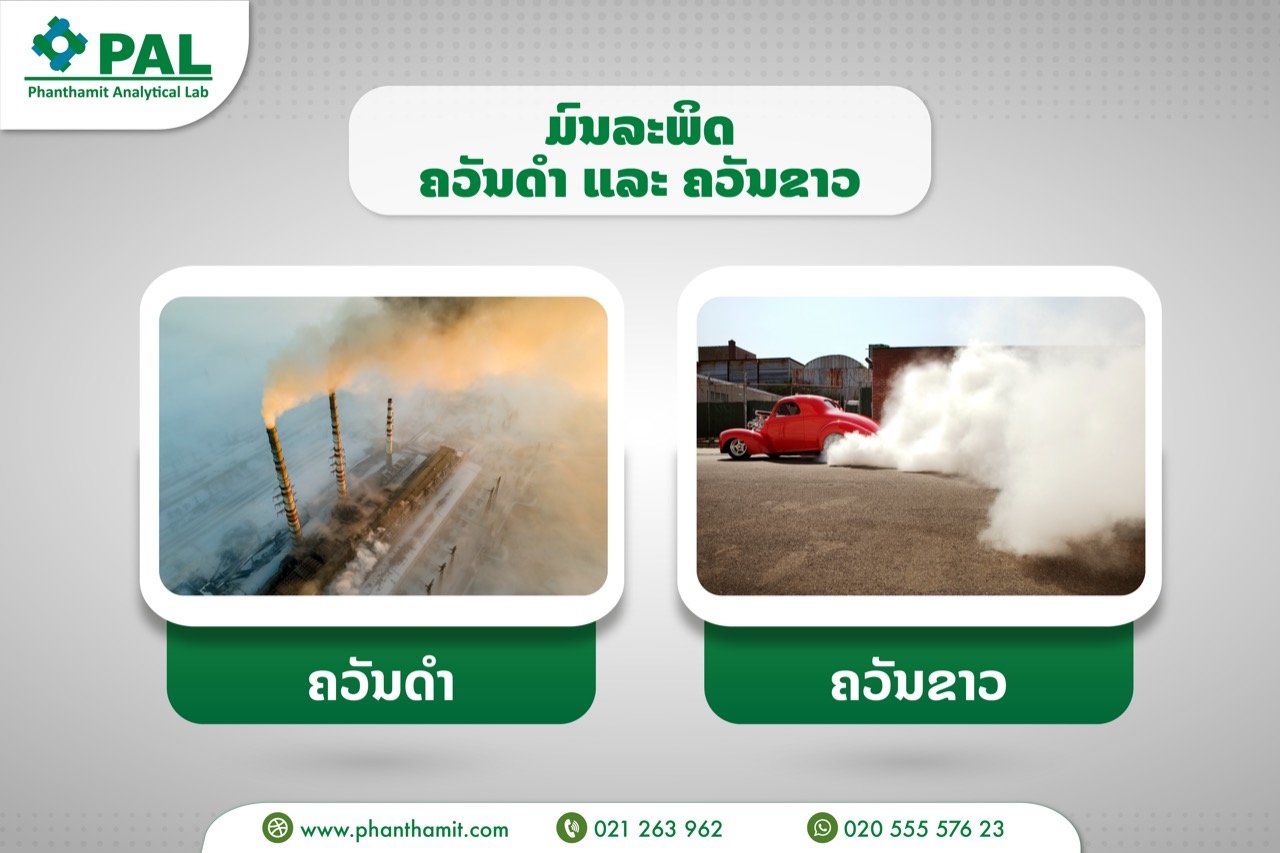 Black and white smoke pollution – Copy